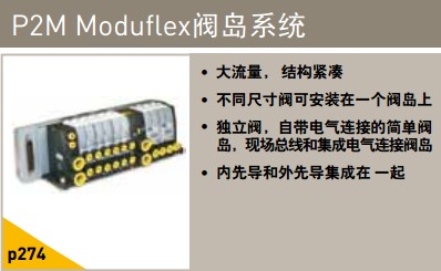 P2M moduflex閥導系統